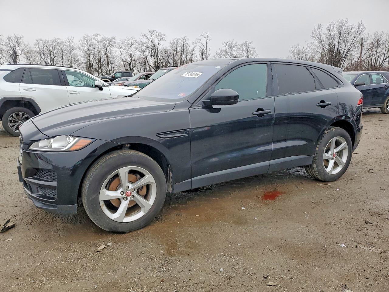 Salvage Jaguar F-PACE Image