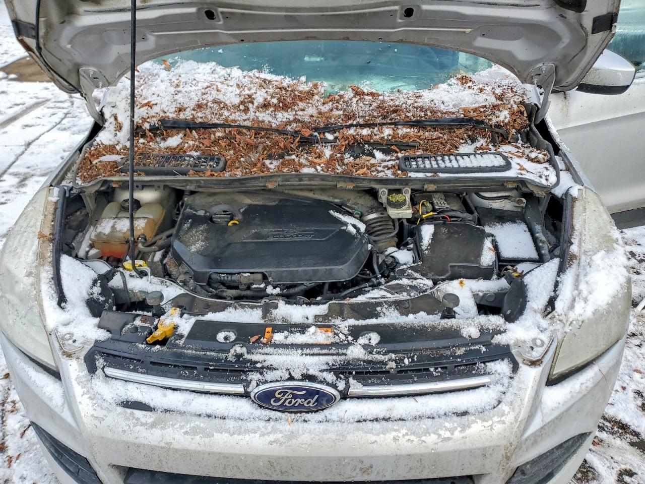 Ford Escape Se