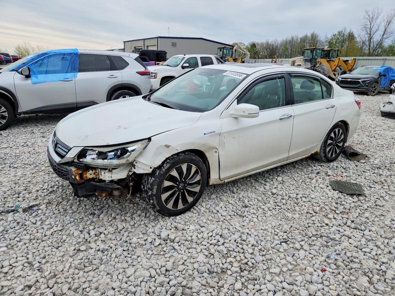 Salvage Honda Accord Image