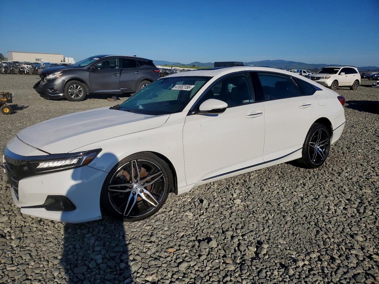 Salvage Honda Accord Image