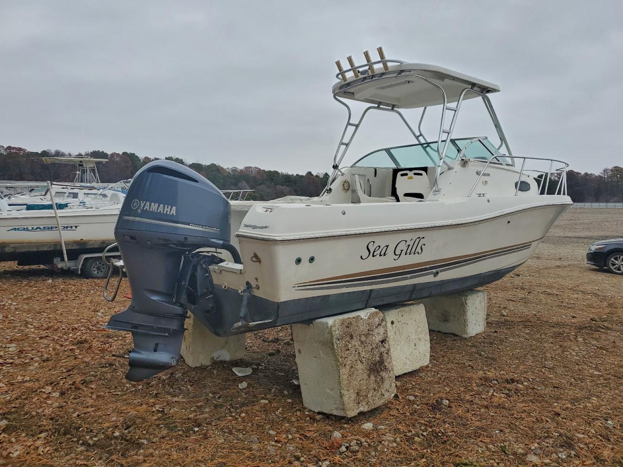 Sea Boat