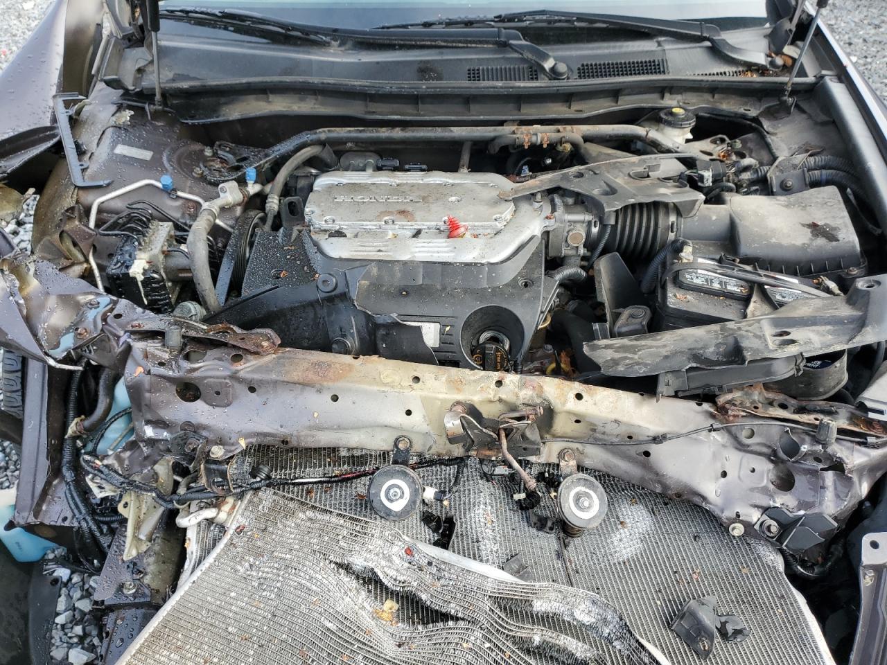 Honda Accord Exl