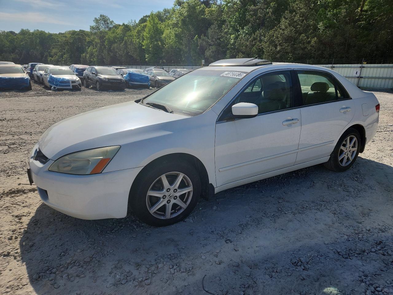 Salvage Honda Accord Image