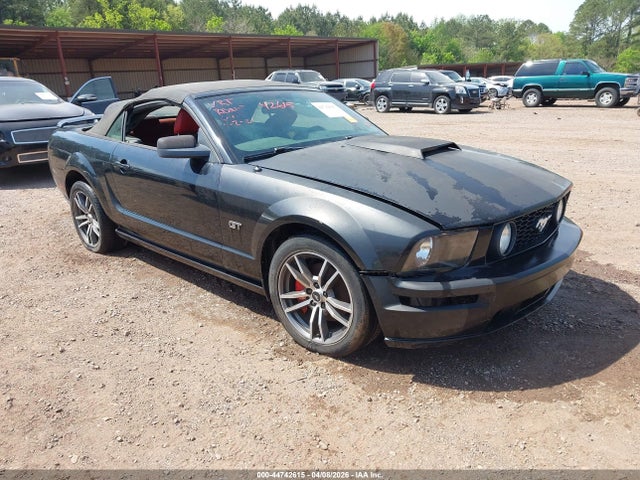 Salvage Ford Mustang Image