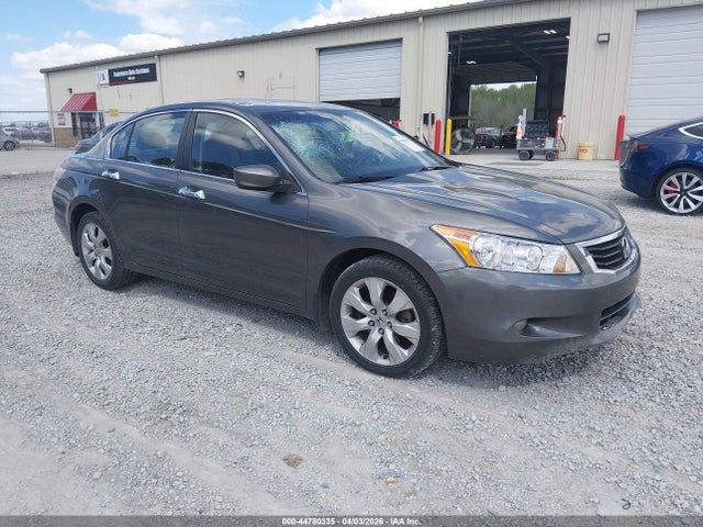 Salvage Honda Accord Image