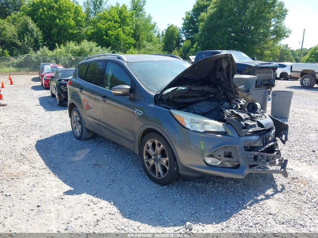 Salvage Ford Escape Image