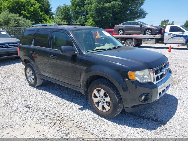 Salvage Ford Escape Image