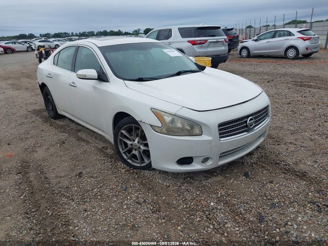 Salvage Nissan Maxima Image
