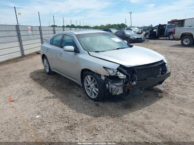 Salvage Nissan Maxima Image
