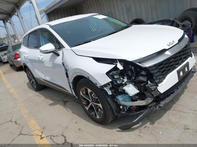 Salvage Kia Sportage Image