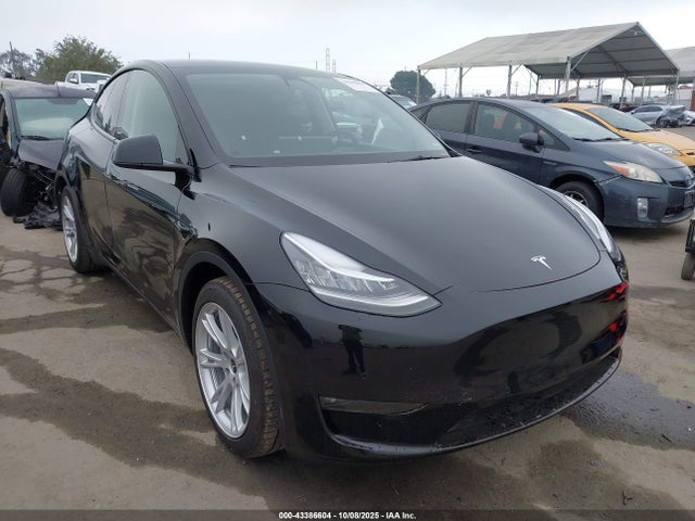 Salvage Tesla Model Y Image