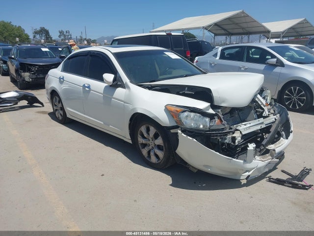 Salvage Honda Accord Image
