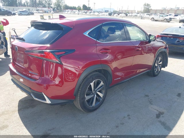 Lexus NX