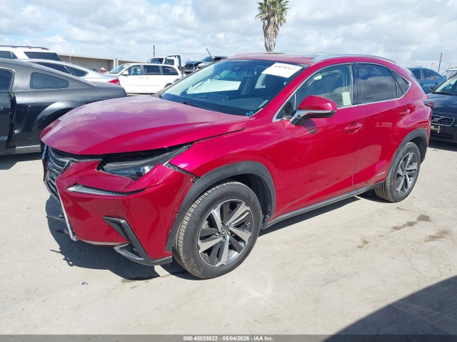 Lexus NX