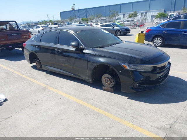 Salvage Honda Accord Image
