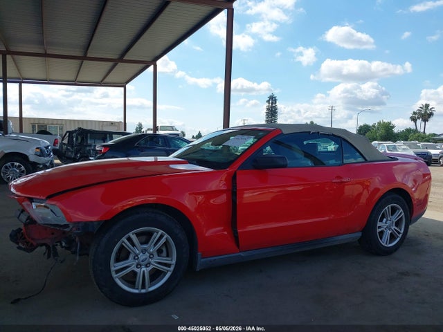 Ford Mustang V6