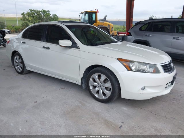 Salvage Honda Accord Image