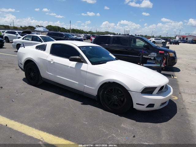 Salvage Ford Mustang Image