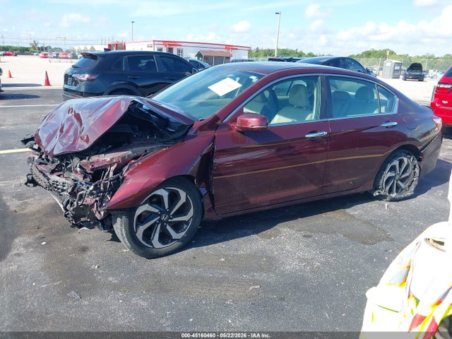Honda Accord Ex-l