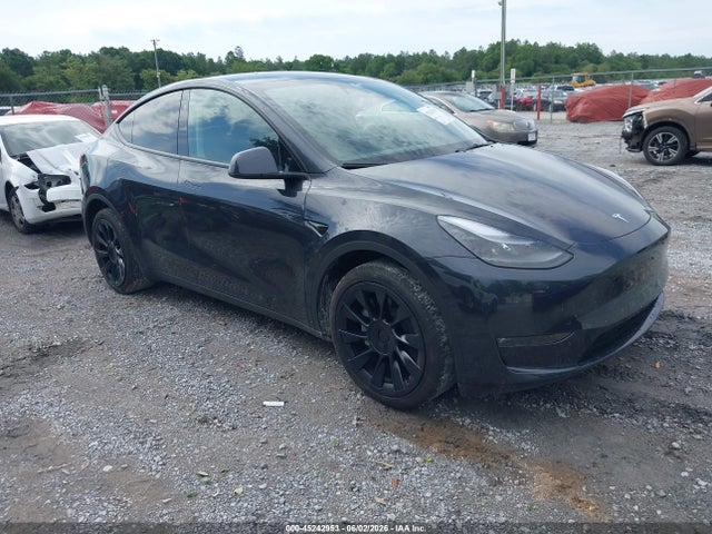 Salvage Tesla Model Y Image