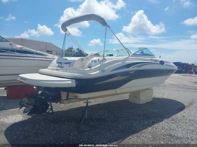 Sea Ray Other