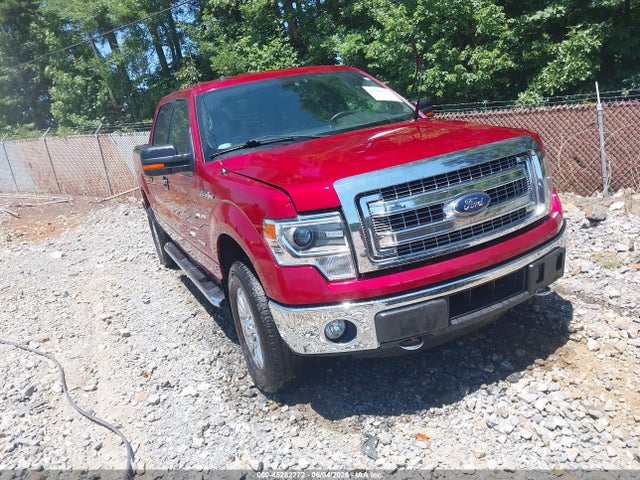 Salvage Ford F-150 Image