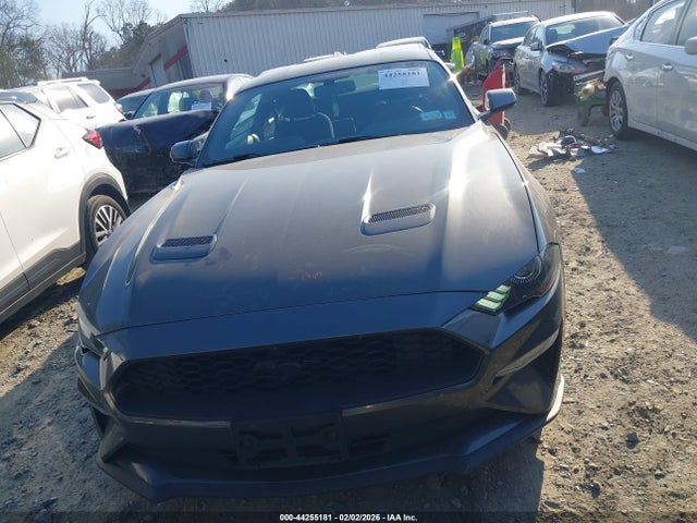 Ford Mustang Ecoboost Fastback