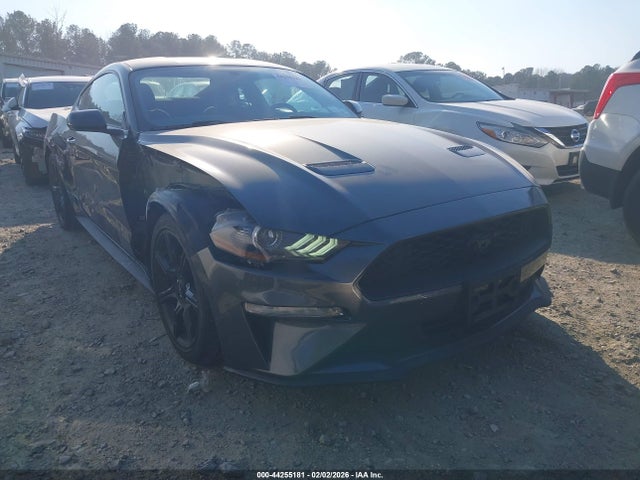 Salvage Ford Mustang Image