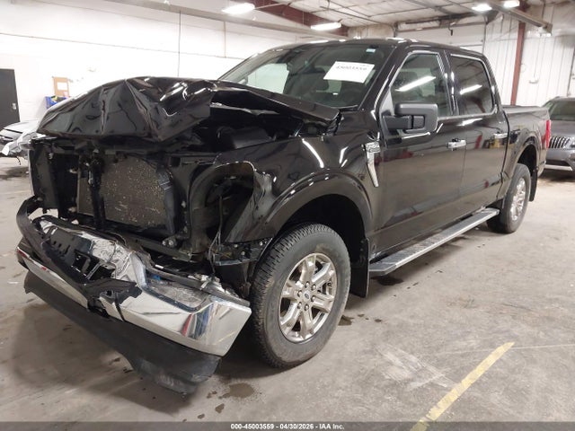 Ford F-150 Xlt