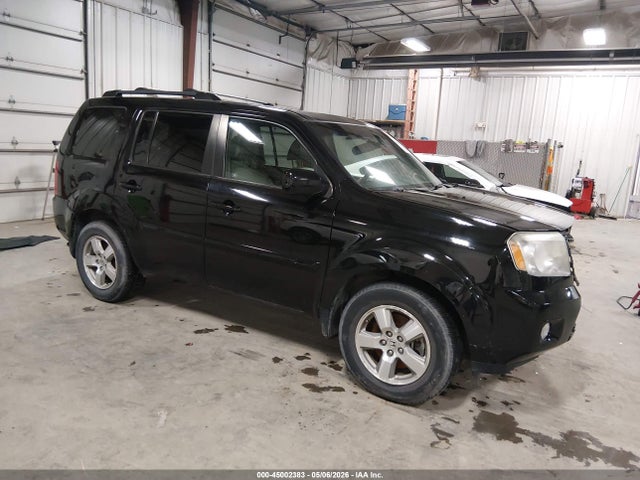Salvage Honda Pilot Image