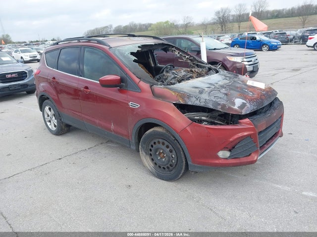 Salvage Ford Escape Image