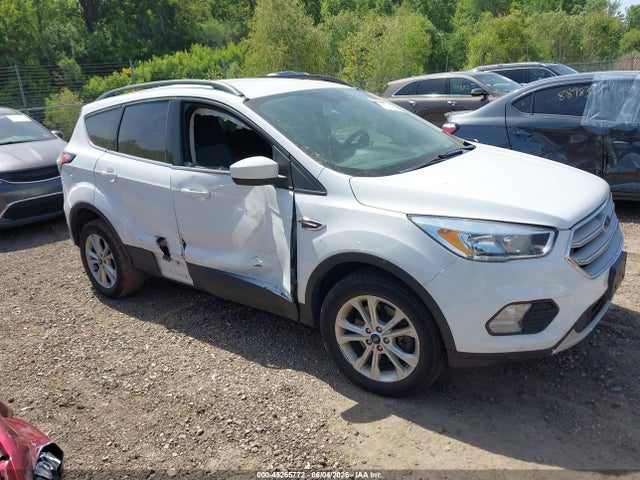 Salvage Ford Escape Image