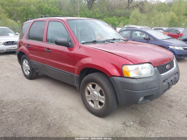 Salvage Ford Escape Image