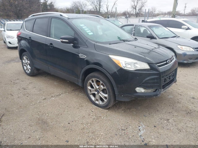 Salvage Ford Escape Image