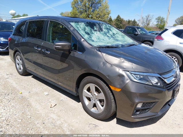 Salvage Honda Odyssey Image