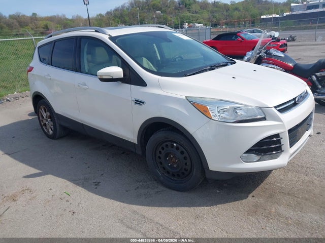 Salvage Ford Escape Image
