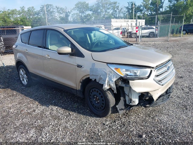 Salvage Ford Escape Image