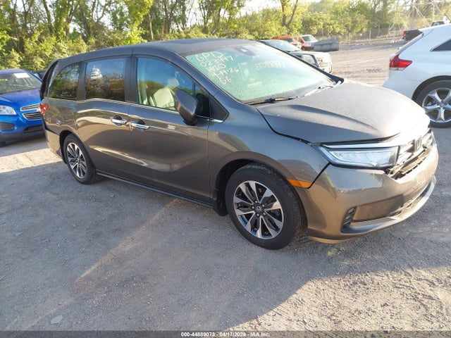 Salvage Honda Odyssey Image