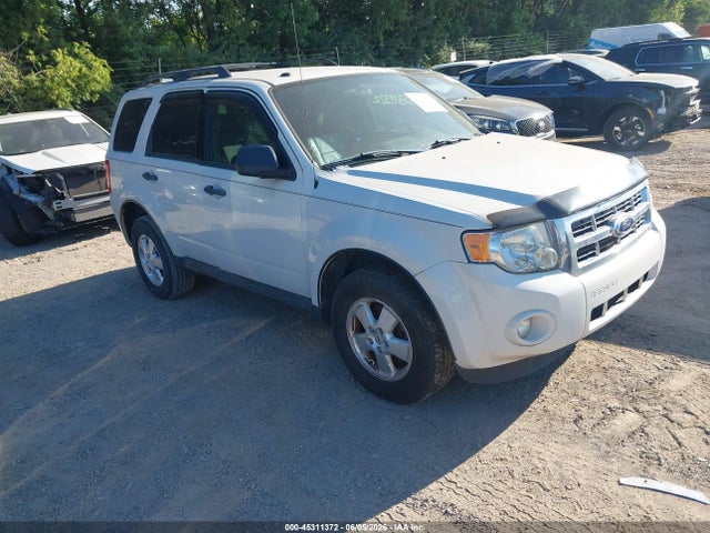 Salvage Ford Escape Image