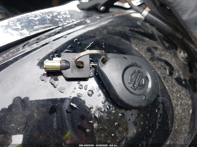 Harley-Davidson Fltrk