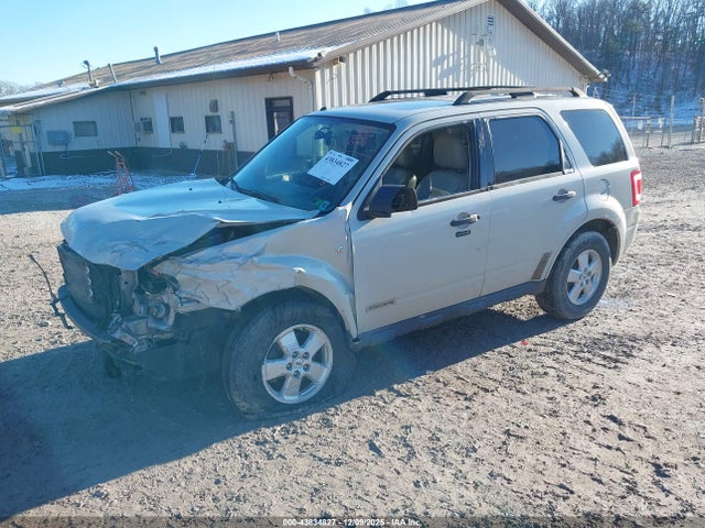 Ford Escape Xlt