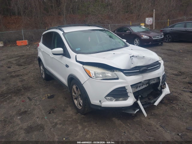 Salvage Ford Escape Image