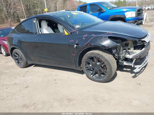 Salvage Tesla Model Y Image
