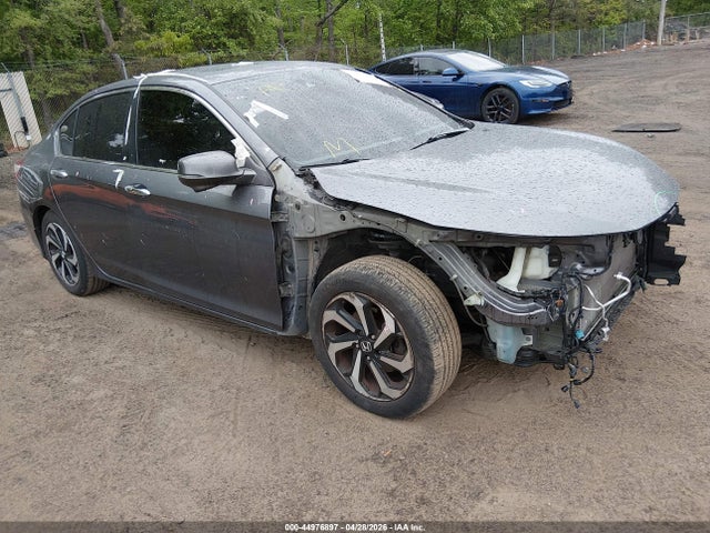 Salvage Honda Accord Image