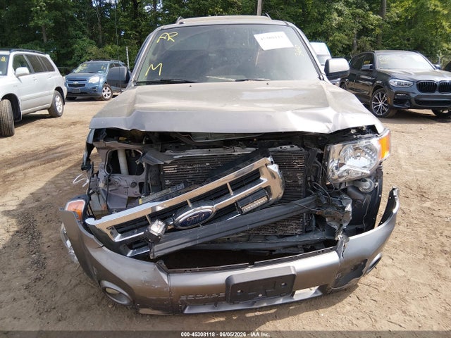 Ford Escape Xlt