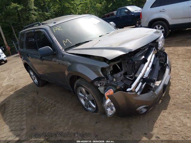 Salvage Ford Escape Image
