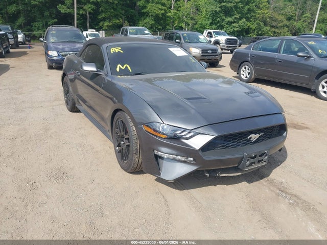 Salvage Ford Mustang Image