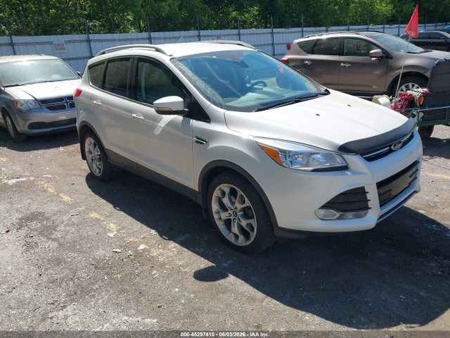 Salvage Ford Escape Image