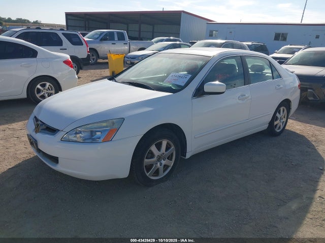 Honda Accord 3.0 Ex
