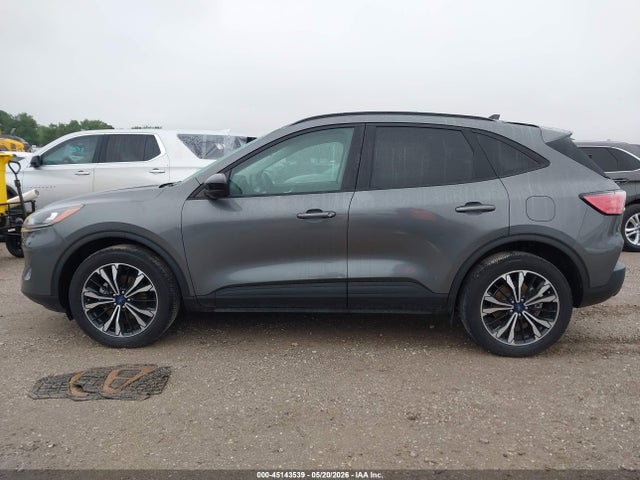 Ford Escape Sel